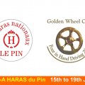 CAI-A Haras DU Pin Golden Wheel CUP Partner TEAM Driving 2009